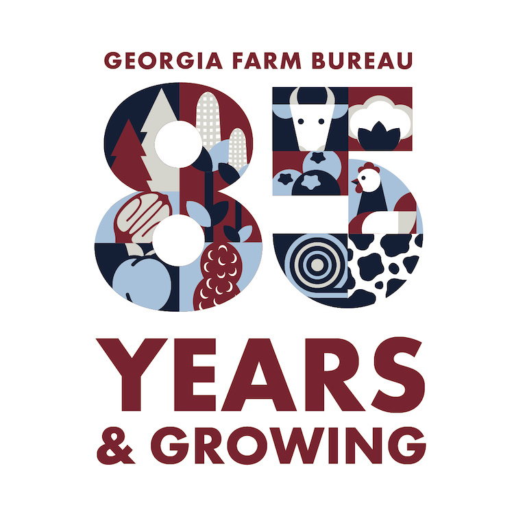 Georgia Farm Bureau members, staff look back in time