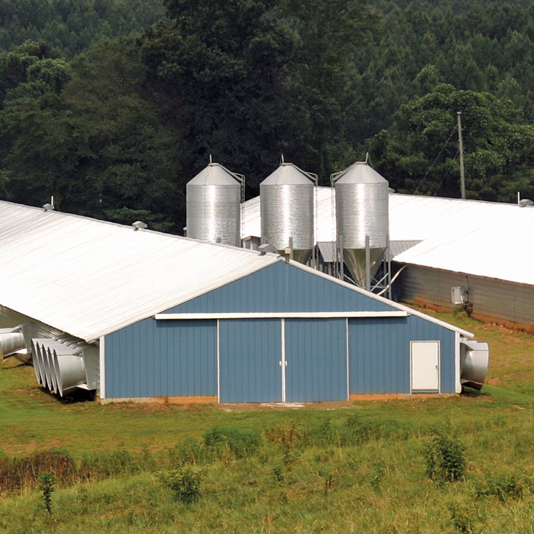 GFB poultry house guidelines based on UGA recommendations