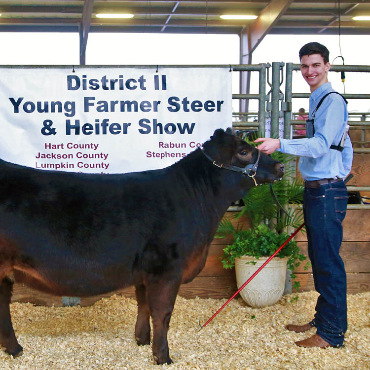 GFB 2nd District holds 10th annual cattle show
