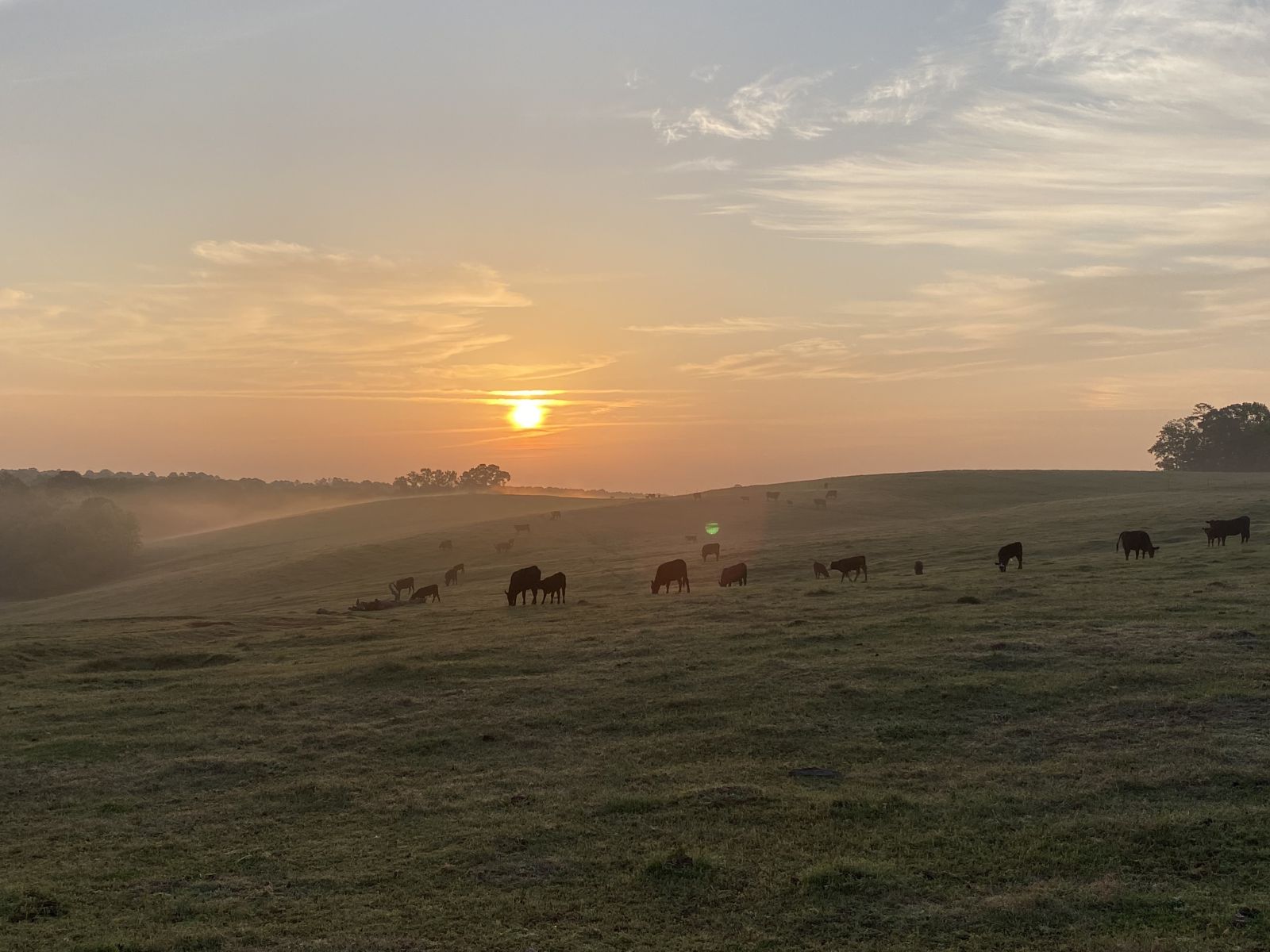 Lauren Turner, Decatur County 