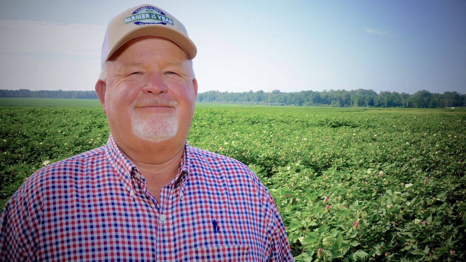 State cotton farmers gather for boll weevil meeting