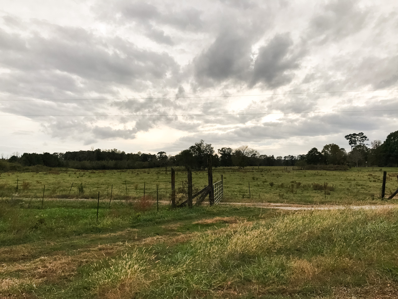 Farm scene