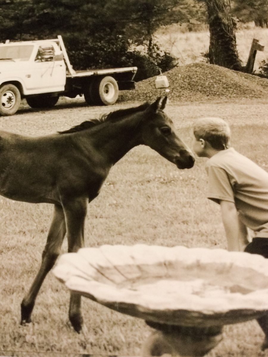 John and horse 2