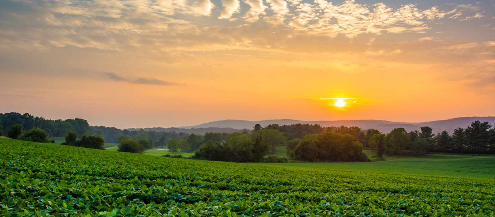 Celebrating Ag Heroes