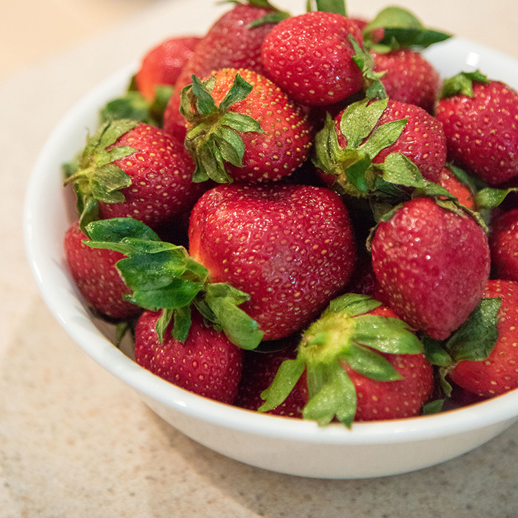Strawberries for Certified Farm Market 