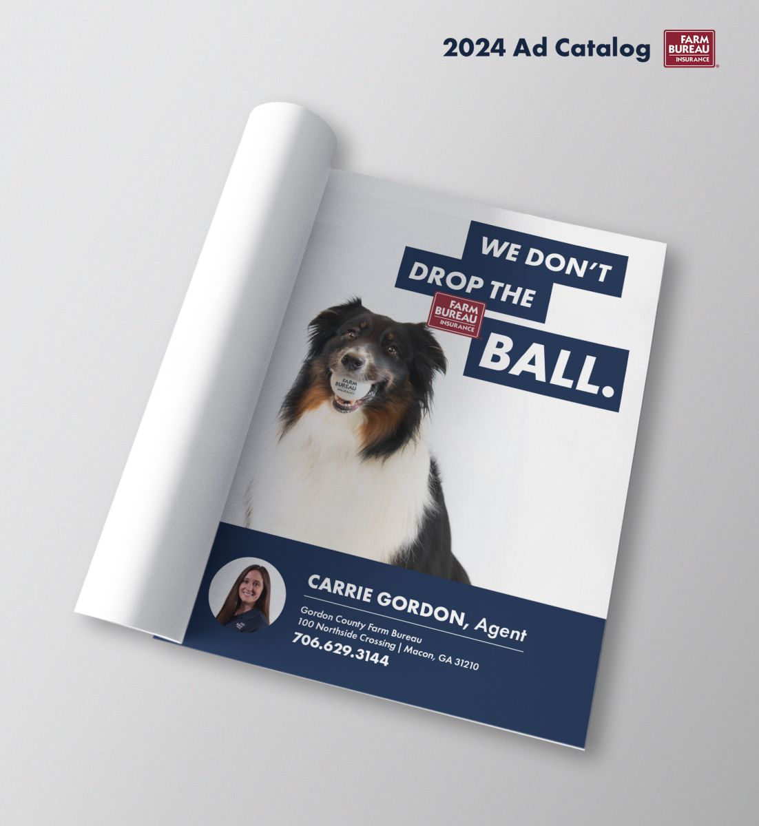 GFB Insurance We Dont Drop the Ball Ad 8