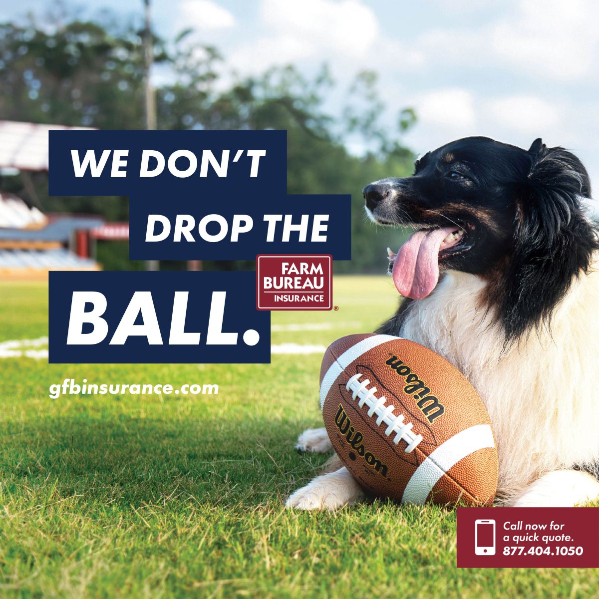 We Don't Drop the Ball Social Graphic