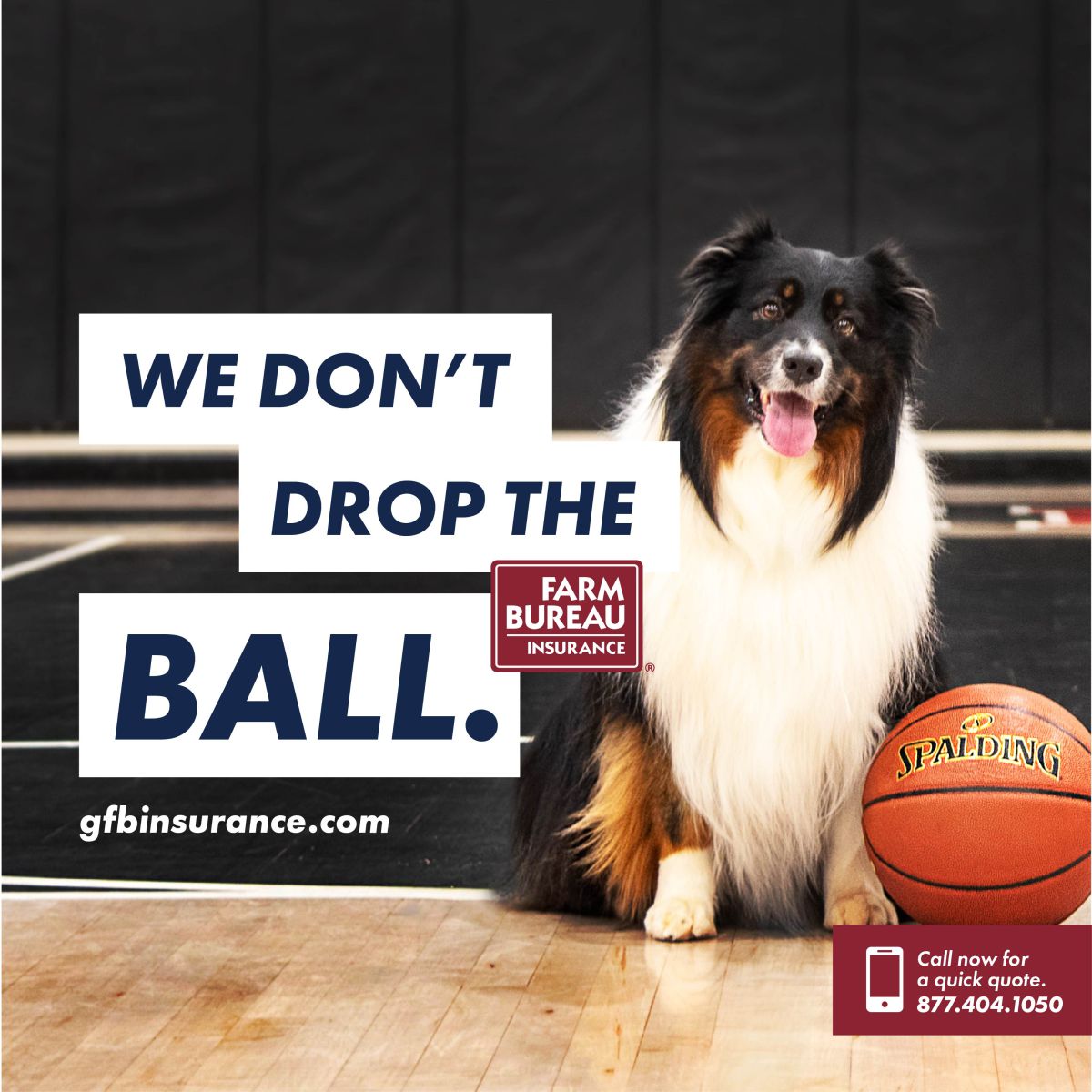 We Dont Drop the Ball basketball