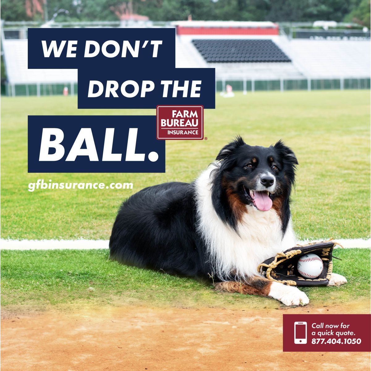 We dont drop the ball baseball