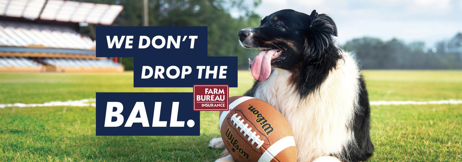 Don't Drop the Ball