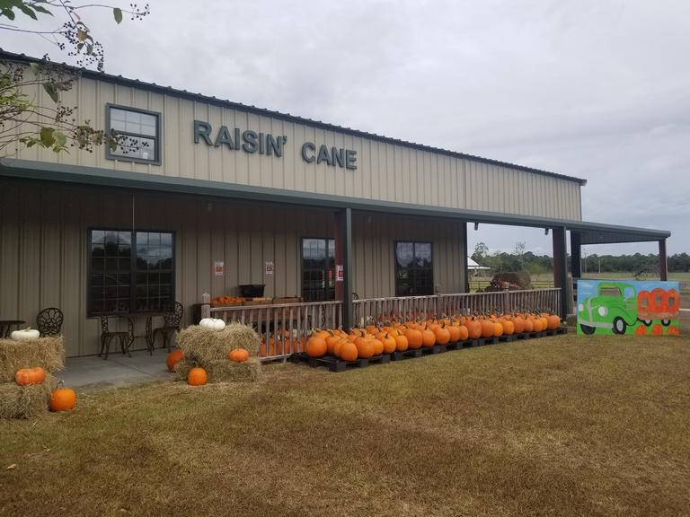 Raisin' Cane Country Store