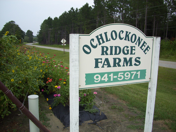 Ochlockonee Ridge Farms LLC.