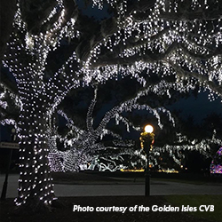 GFB Holiday Tour of Lights