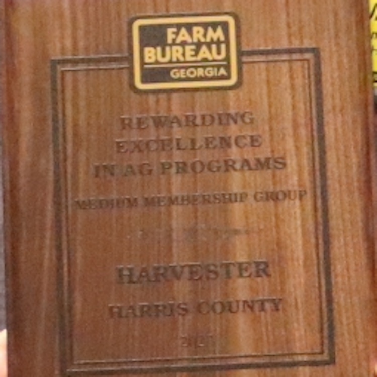 Friends of FRAND' Award Granted to FSA Outgoing Chair - Fair Standards  Alliance