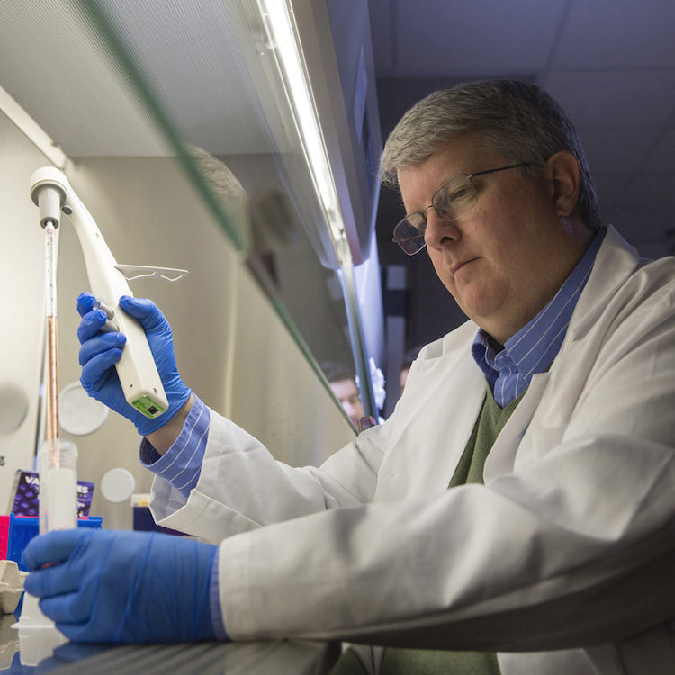 UGA researchers developing coronavirus vaccine