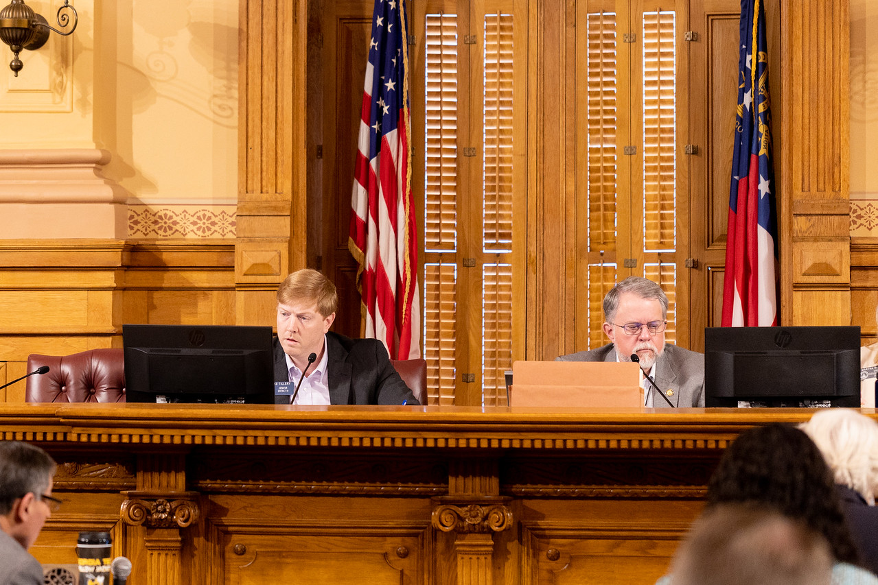 Joint Appropriations Committee Chairmen Sen. Blake Tillery (left) and Rep. Terry England (right) hear testimony during this week's budget hearings. (Photo Credit: Georgia House Photo)
